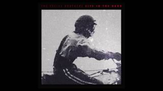 The Felice Brothers - "Diamond Bell" (Official Audio)