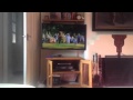 Shrek DVD Menu Walkthrough 2001 Version