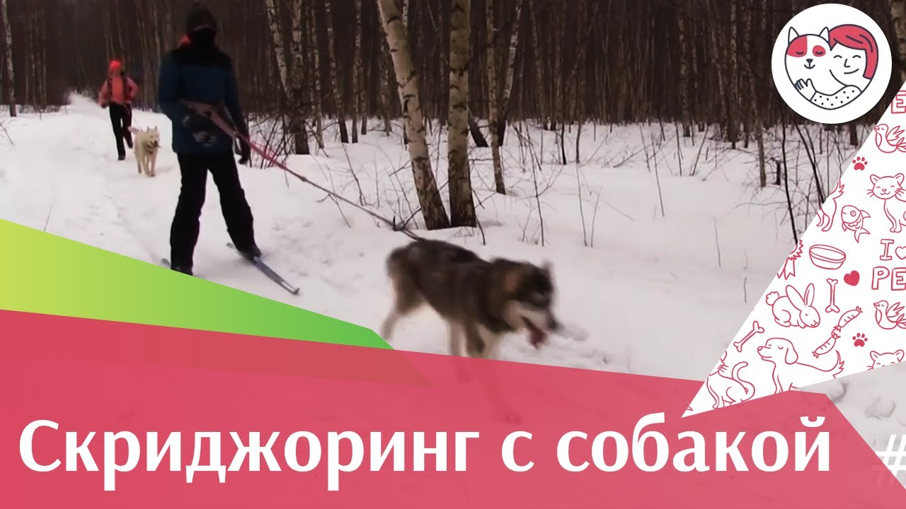 Гонка скидж ЗС Последний рубеж