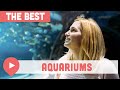 Best Rated Aquarium In The Us