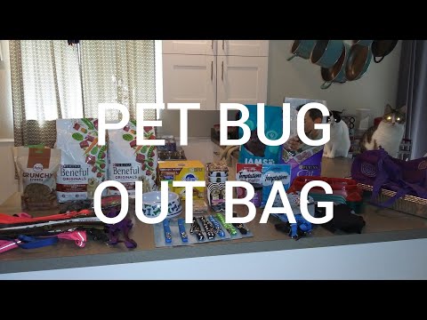 BUG OUT BAGS FOR CATS 🐱 & DOGS 🐕