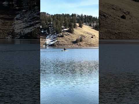 Under the Gentle Breeze