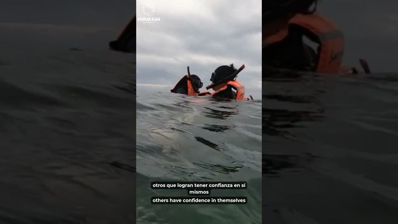 Raíz Viva se extiende de Playa del Carmen a Benito Juárez, Tulum y Bacalar.