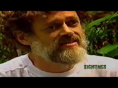 Terence McKenna Talks About Timewave Zero On Television