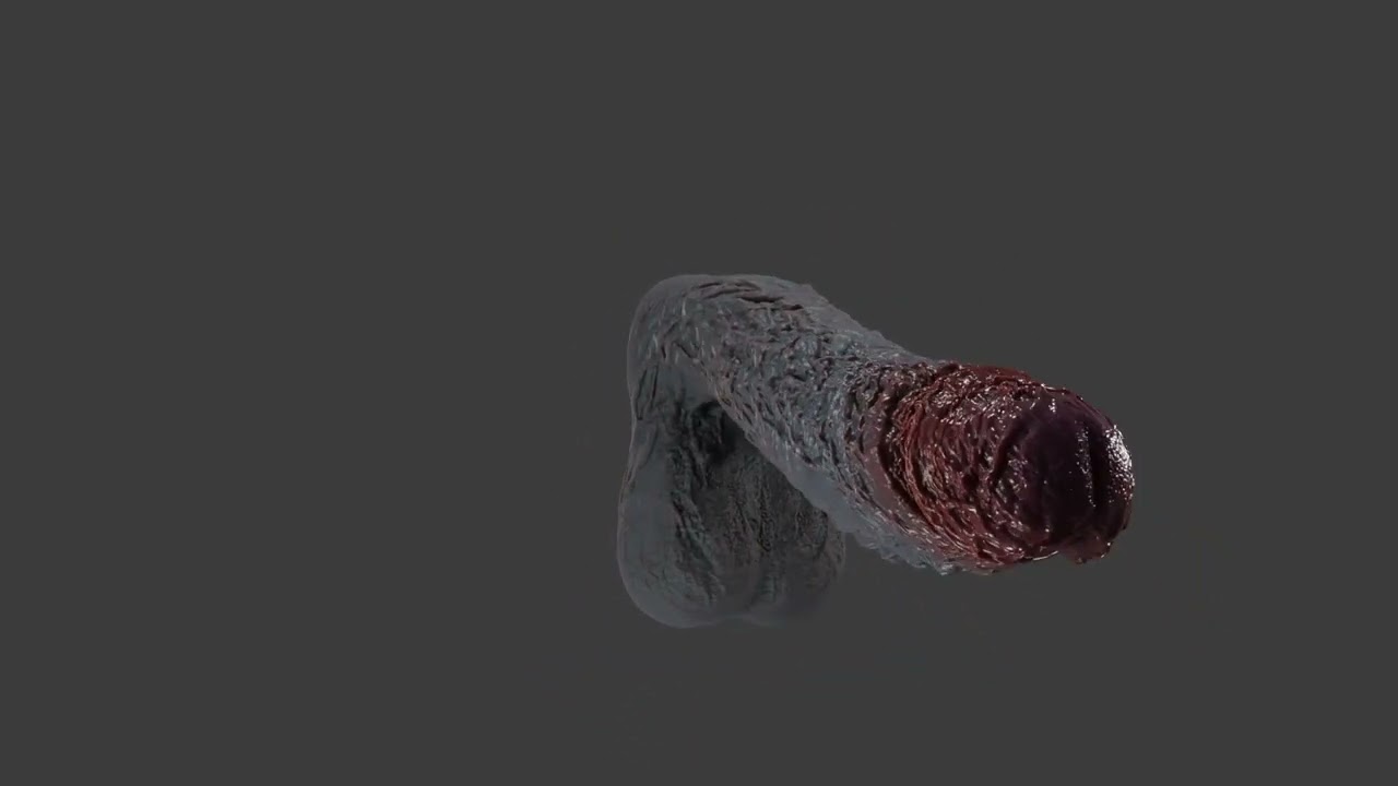 Lorkaz Fleshy Monster Penis Furry Sextoy Rigged 3D Model