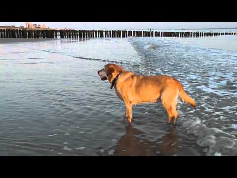 Spike in zee 1-9-2011