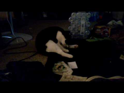 Sexy naveen face licks self