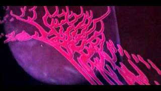 Soehngenetic - Terre De Tig