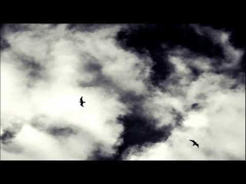 Dirty Vegas - Days Go By (Vinayak^A ft Vandana Bhalla Felt A Day Go By Mix)