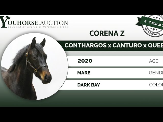 Corena Z @ Home jumping