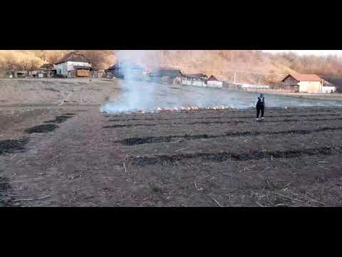 Am fost trimiși de bătrâni la cocirlai 🤦‍♂️😜