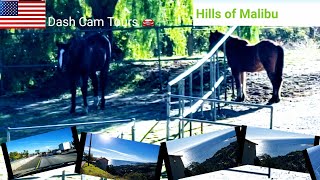 Dash Cam Tours 🚘  Driving in Malibu Hills || Las Flores Canyon Road