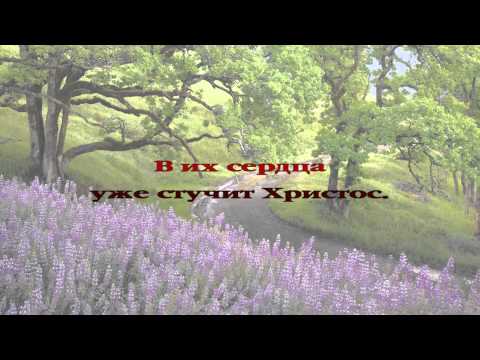 03 Ты сидишь в собранье незаметная