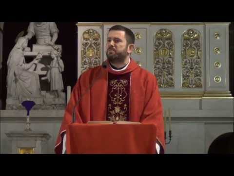 Homilia Ks. Carlosa 13.04.2014 - NIEDZIELA PALMOWA CZYLI MĘKI PAŃSKIEJ (ROK A)