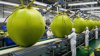 Inside the Machines Turning Coconuts Into Bottled Water | Factory Food