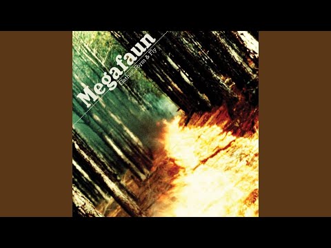 Tides - Megafaun