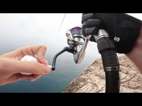 Shore Jigging Dubrovnik - Amberjack