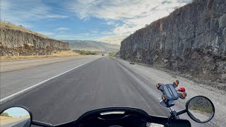 Morning riding from desert to forest