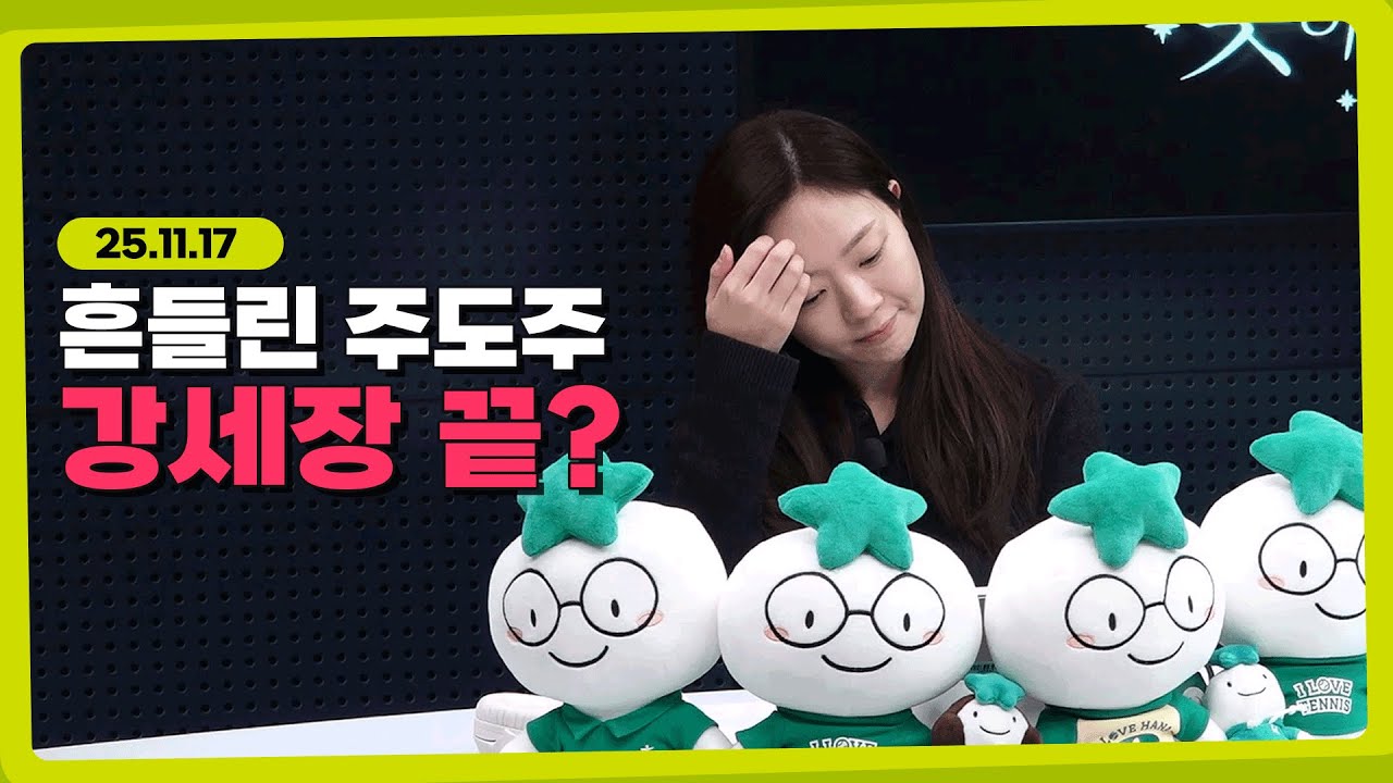 강세장 속 주도업종의 조정은 얼마나 갈까 l 251117 l 쏭디의 돈이 빛나는 낮에