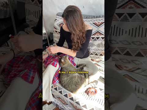 Как Кошмак оставался со знакомыми