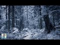3 HOURS of Relaxing Snowfall: Beautiful Falling Heavy Snow - The Best Relax Music 1080p HD