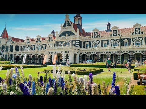Thumbnail for Diamond Princess New Zealand Cruise. Dunedin, Port Chalmers