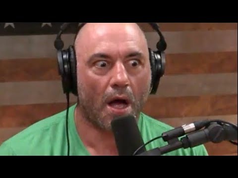 Joe Rogan SHOCKED By Chuck Palahniuk's Stories