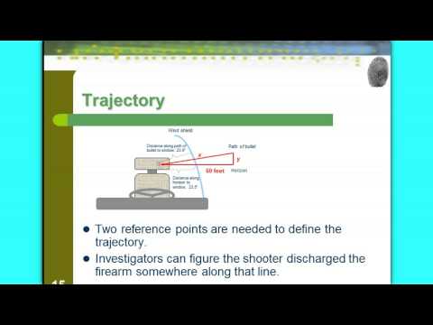 Bullet Trajectory Notes