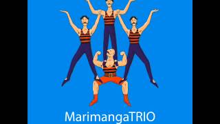 Marimanga Trio & Bojan Zulfikarpašić - Zilbra