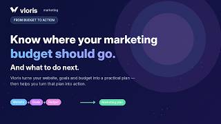 Know Where Your Marketing Budget Should Go | Vloris