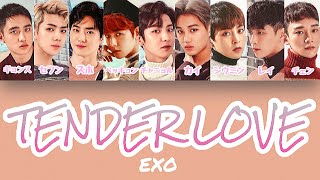 【パート分け/日本語字幕/歌詞/和訳/カナルビ】TENDER LOVE - EXO(엑소)