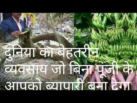 Best business option for farmers/Vatsal Vatica/Best scented and ornamental flowers.