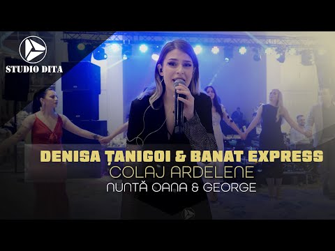 Denisa Tanigoi & Banat Express - Colaj Ardelene LIVE 🎵 Nunta Oana & George ● NOU 2024