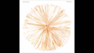 The Dead C – Shaft