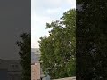 Weather ️ ️