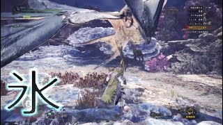 空の王者リオレウスより、飛んでね...？【MHW実況】part 13