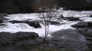 preview picture of video 'Killin Falls of Dochart- Ecosse (Scotland)'
