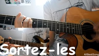 Tryo - Sortez-Les ( Guitar Cover )