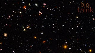 E.O. Wilson: Aliens Are Out There and They Probably Look Like This