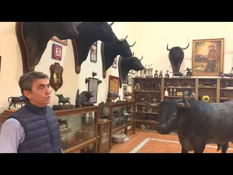 MUSEO VICTORINO MARTIN. UN PASEO POR NUESTRA HISTORIA.