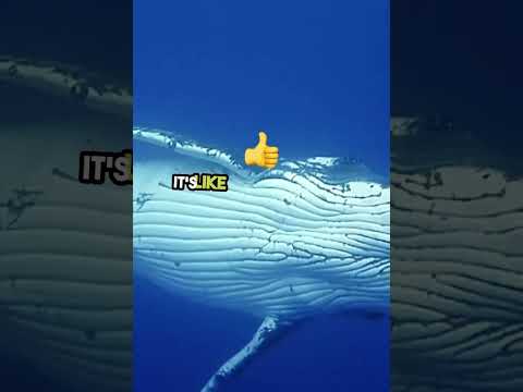 Exploring the intricate network of US freeways. #Freeways #Infrastructure #USA