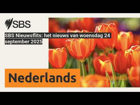 SBS Nieuwsflits: het nieuws van woensdag 24 september 2025 | SBS Dutch - SBS Nederlands