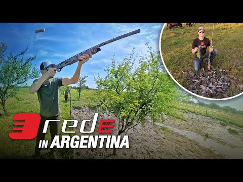 Argentina Dove Hunting Is Unreal!