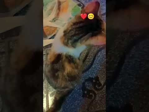 hola te quiero alegrar el día☺️😌🌸❤️😊🌟💫✨🌤️☀️