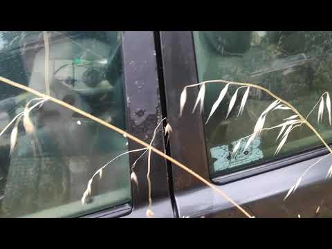 classic Benz's barn find