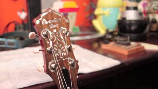 Recording King USA Custom Shop Banjo - The Custom 6