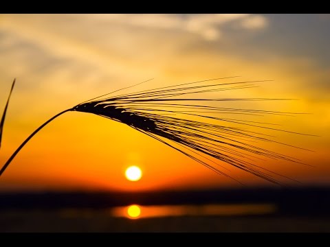 8 Hour Sleep Music, Calm Music for Sleeping, Delta Waves, Insomnia, Relaxing Music, ☯475