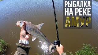 Схема ловля на фидером в реке амур