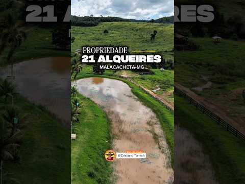 EXCELENTE PROPRIEDADE 21 ALQUEIRES REGIÃO DE MALACACHETA-MG R$ 3.6 MILHÕES #luxo #rural #roça #agro