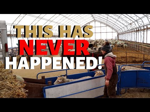 Shipping Day FAIL.  Vlog 234